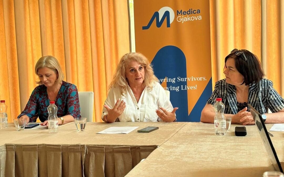 Our final Steering Committee meeting for the Amplifying Voices project